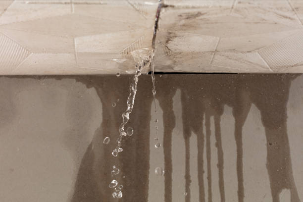 Professional Sewage Cleanup technician working in Glenville, MN